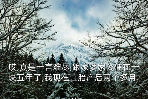 哎,真是一言難盡,跟家婆家公住在一塊五年了,我現(xiàn)在二胎產(chǎn)后兩個(gè)多月...
