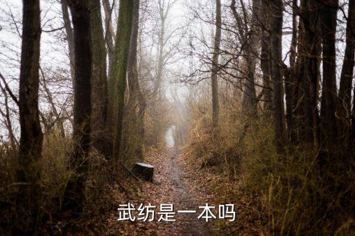 武漢紡織大學(xué)平面圖