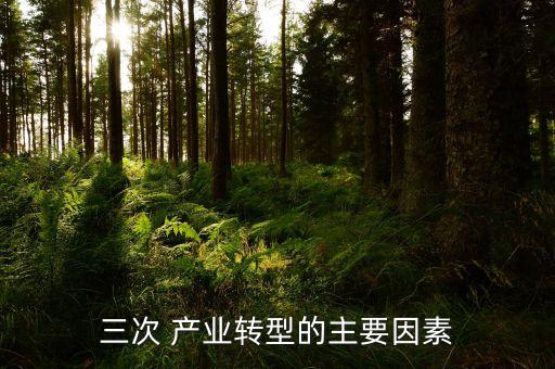三次 產(chǎn)業(yè)轉(zhuǎn)型的主要因素