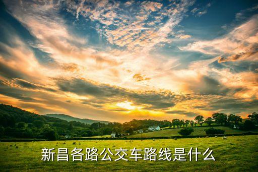 新昌各路公交車路線是什么