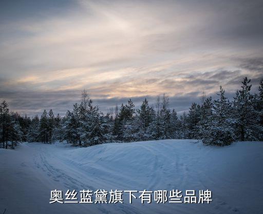 卡爾邁耶有限公司,蘇州卡爾邁耶機械技術有限公司