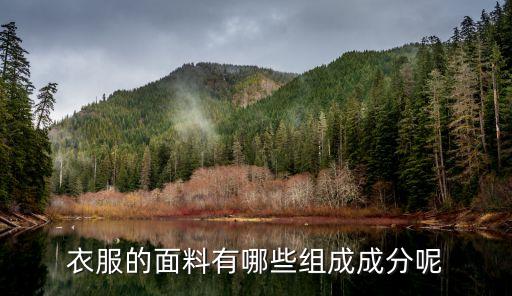 衣服的面料有哪些組成成分呢