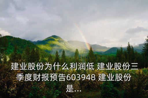  建業(yè)股份為什么利潤低 建業(yè)股份三季度財報預(yù)告603948 建業(yè)股份是...