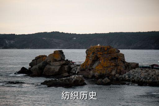 紡織業(yè)的發(fā)展,簡(jiǎn)要評(píng)析民國(guó)初年我國(guó)棉紡織業(yè)的發(fā)展