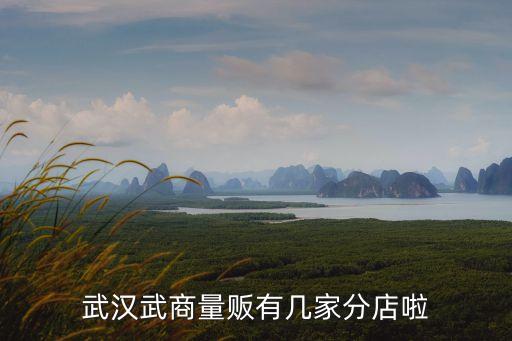 武漢武商量販有幾家分店啦