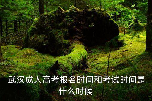  武漢成人高考報(bào)名時間和考試時間是什么時候