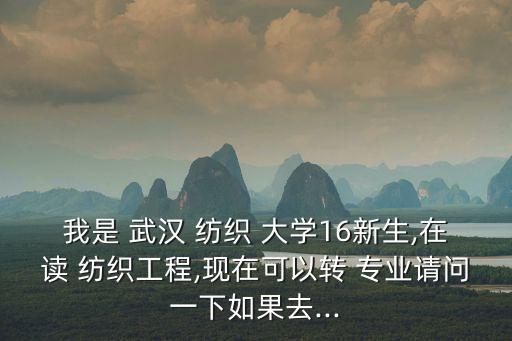 我是 武漢 紡織 大學(xué)16新生,在讀 紡織工程,現(xiàn)在可以轉(zhuǎn) 專業(yè)請問一下如果去...
