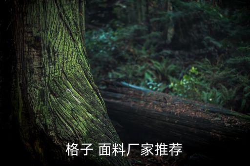 格子 面料廠(chǎng)家推薦