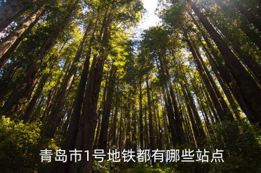  青島市1號地鐵都有哪些站點