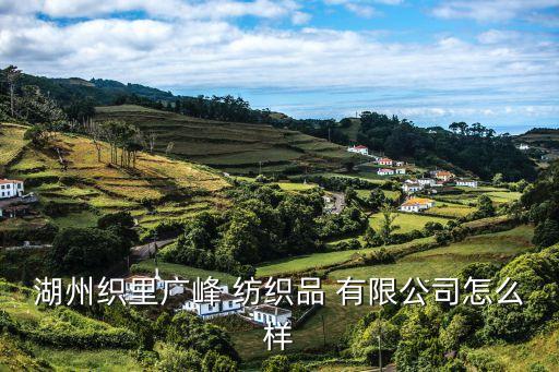湖州織里廣峰 紡織品 有限公司怎么樣