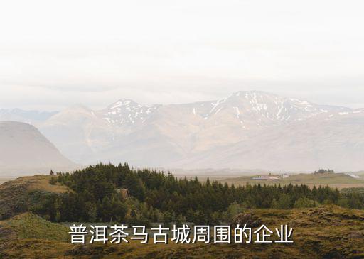 普洱茶馬古城周圍的企業(yè)