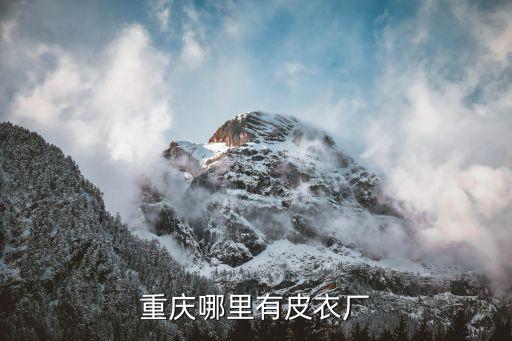 威海華富服裝有限公司,威海伊爾依服裝有限公司