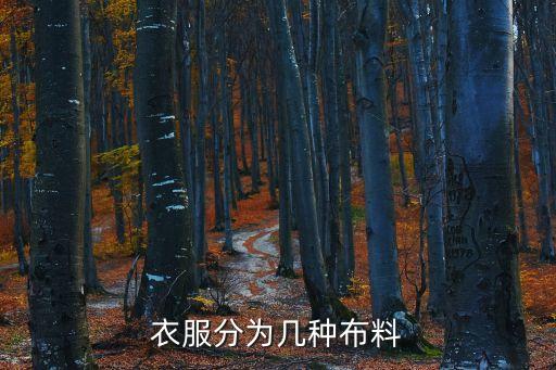 時裝的面料,時裝面料批發(fā)市場在哪里