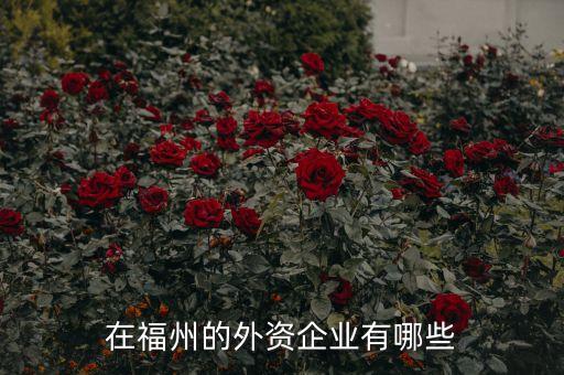 在福州的外資企業(yè)有哪些