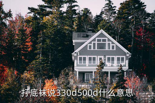 打底襪說330d500d什么意思