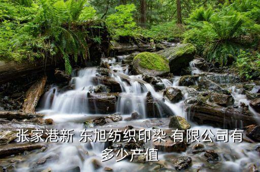 東旭制衣股份有限公司,東旭藍(lán)天新能源股份有限公司怎么樣