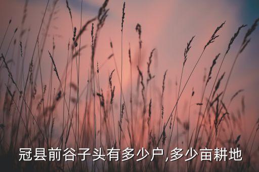  冠縣前谷子頭有多少戶,多少畝耕地