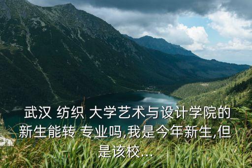  武漢 紡織 大學(xué)藝術(shù)與設(shè)計學(xué)院的新生能轉(zhuǎn) 專業(yè)嗎,我是今年新生,但是該校...