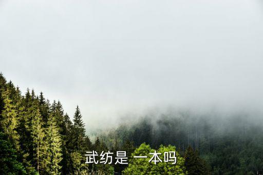 武紡是 一本嗎