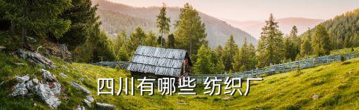 四川有哪些 紡織廠