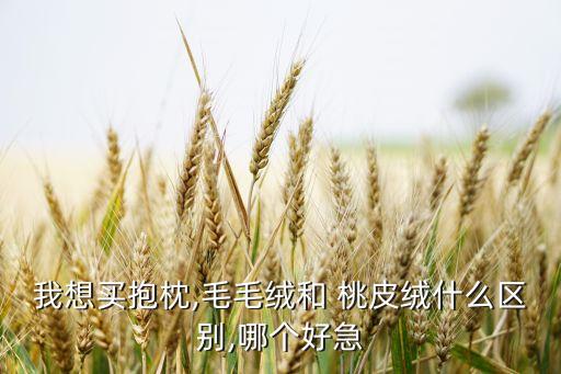 我想買抱枕,毛毛絨和 桃皮絨什么區(qū)別,哪個(gè)好急