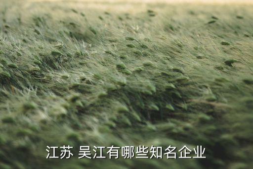 江蘇 吳江有哪些知名企業(yè)