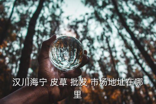 漢川海寧 皮草 批發(fā) 市場地址在哪里