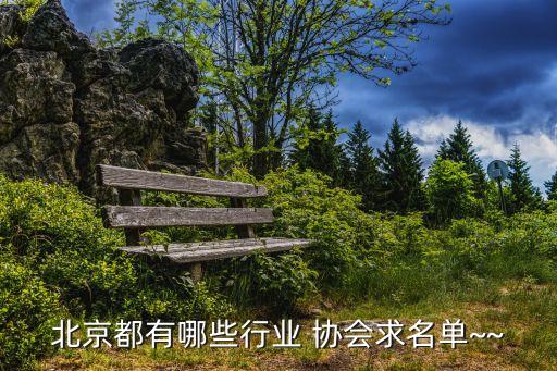 北京都有哪些行業(yè) 協(xié)會求名單~~