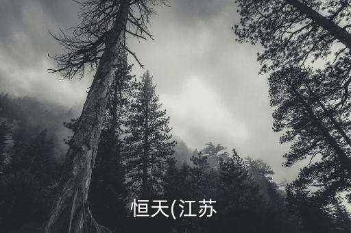 恒天(江蘇