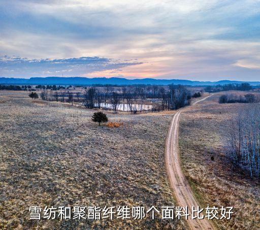  雪紡和聚酯纖維哪個面料比較好