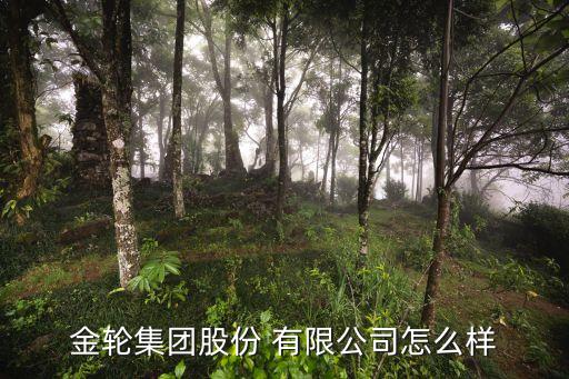 杭州永昌錦綸有限公司,杭州英威達錦綸有限公司