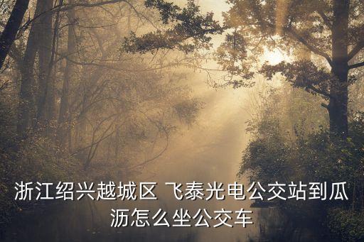 浙江紹興越城區(qū) 飛泰光電公交站到瓜瀝怎么坐公交車