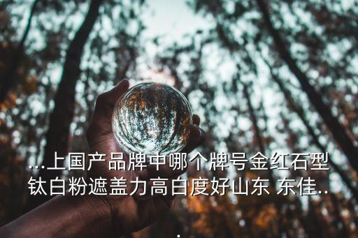 ...上國(guó)產(chǎn)品牌中哪個(gè)牌號(hào)金紅石型鈦白粉遮蓋力高白度好山東 東佳...