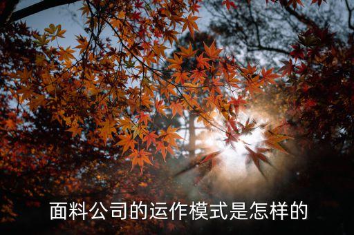  面料公司的運(yùn)作模式是怎樣的