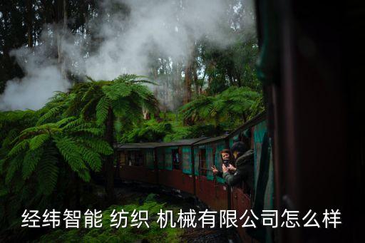 經(jīng)緯智能 紡織 機(jī)械有限公司怎么樣