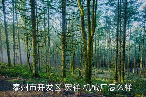 泰州市開發(fā)區(qū) 宏祥 機械廠怎么樣