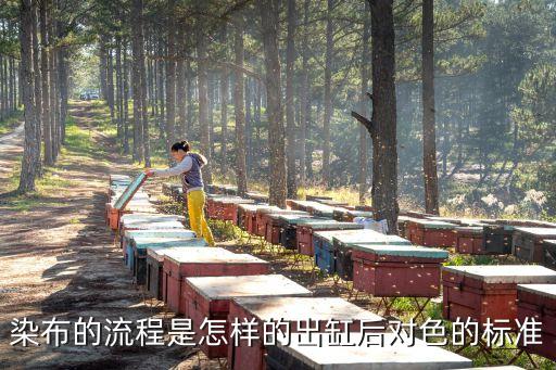 染布的流程是怎樣的出缸后對色的標(biāo)準(zhǔn)