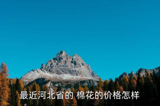 最近河北省的 棉花的價格怎樣