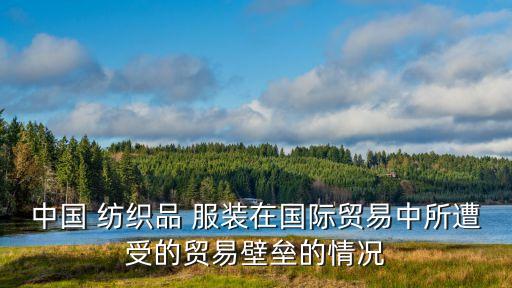 中國 紡織品 服裝在國際貿易中所遭受的貿易壁壘的情況