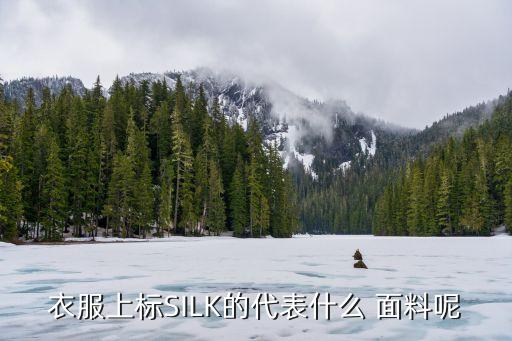 長(zhǎng)絲珠是什么面料,150d長(zhǎng)絲是什么面料
