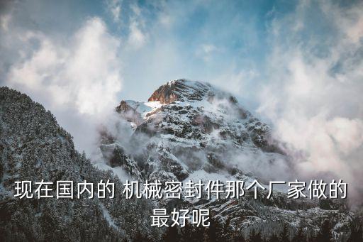 現(xiàn)在國內(nèi)的 機(jī)械密封件那個廠家做的最好呢