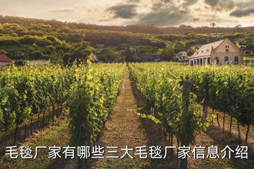 東莞市吉星織造有限公司