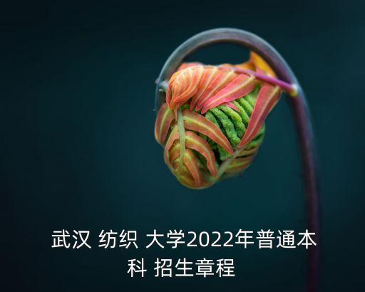 武漢紡織大學招生名單