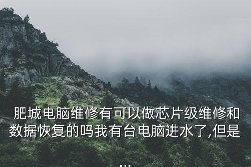  肥城電腦維修有可以做芯片級(jí)維修和數(shù)據(jù)恢復(fù)的嗎我有臺(tái)電腦進(jìn)水了,但是...