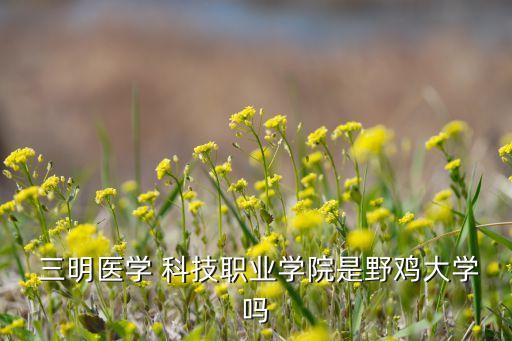  三明醫(yī)學(xué) 科技職業(yè)學(xué)院是野雞大學(xué)嗎