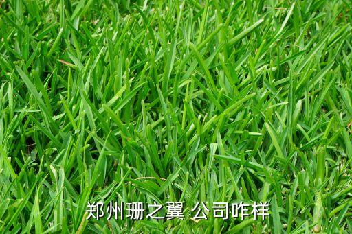  鄭州珊之翼 公司咋樣