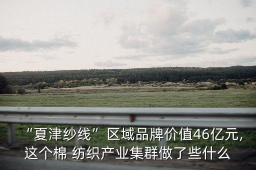 “夏津紗線”區(qū)域品牌價值46億元,這個棉 紡織產(chǎn)業(yè)集群做了些什么