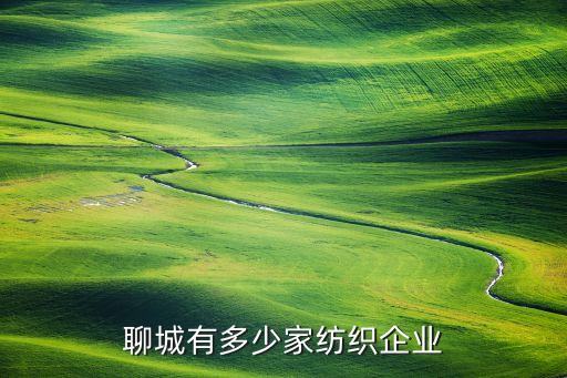 岱銀紡織廠分廠,岱銀集團(tuán)幾個分廠
