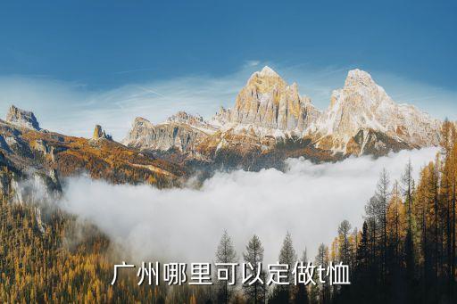  廣州哪里可以定做t恤