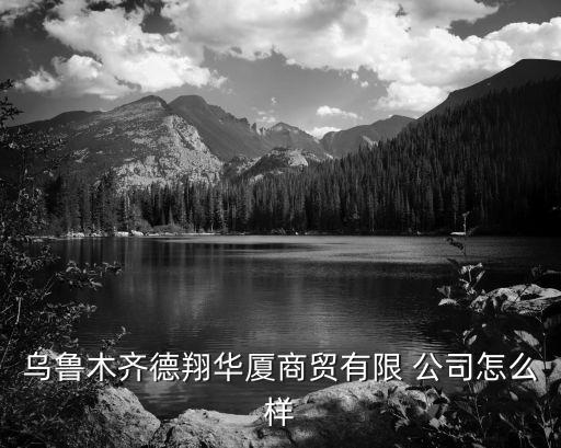 烏魯木齊德翔華廈商貿(mào)有限 公司怎么樣